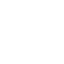 Twitter bird icon.