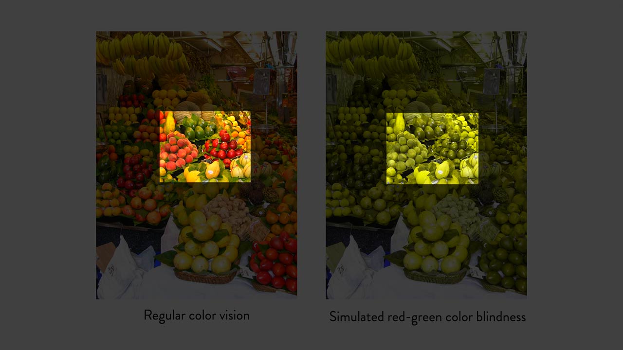 Understanding the Role of Color in Accessibility